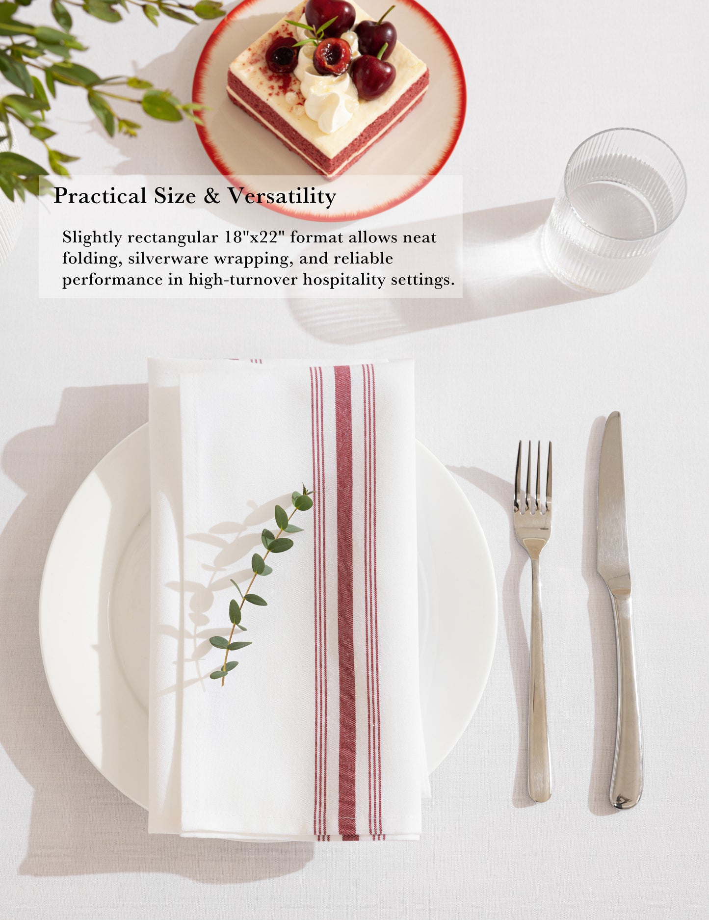 Sheenfon Dual-Stripe Border Woven Polyester Napkins, Set of 12